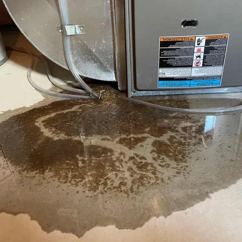 Pipe Burst and Leak Restoration in Kensington, MD